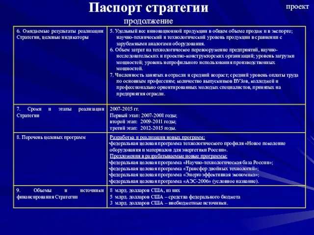 Паспорт стратегии продолжение проект