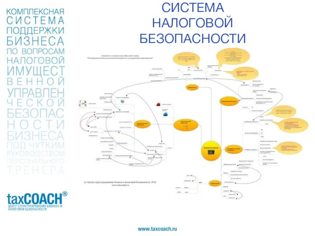 СИСТЕМА НАЛОГОВОЙ БЕЗОПАСНОСТИ