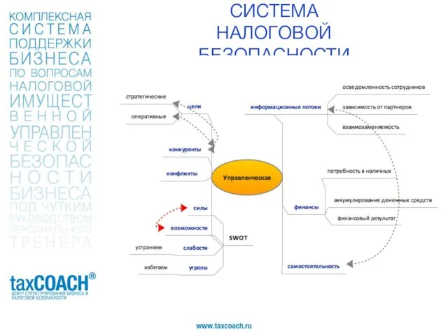 СИСТЕМА НАЛОГОВОЙ БЕЗОПАСНОСТИ