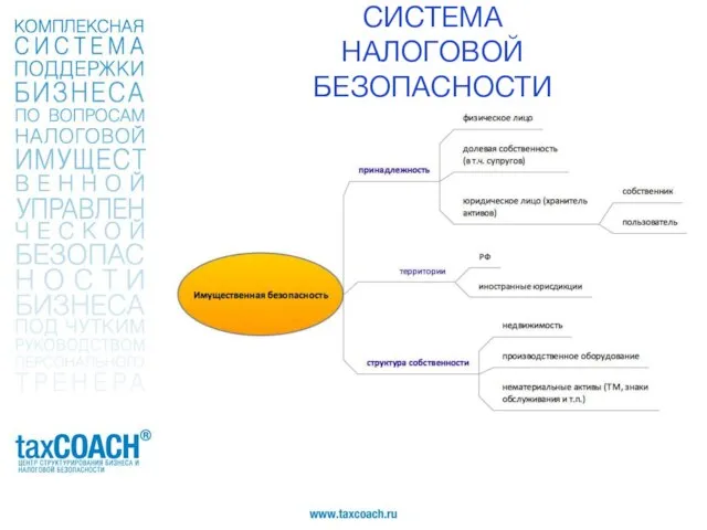 СИСТЕМА НАЛОГОВОЙ БЕЗОПАСНОСТИ