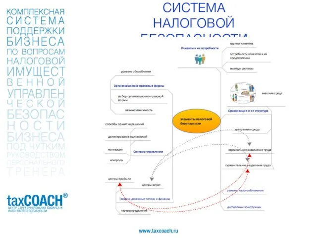 СИСТЕМА НАЛОГОВОЙ БЕЗОПАСНОСТИ