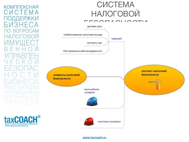 СИСТЕМА НАЛОГОВОЙ БЕЗОПАСНОСТИ