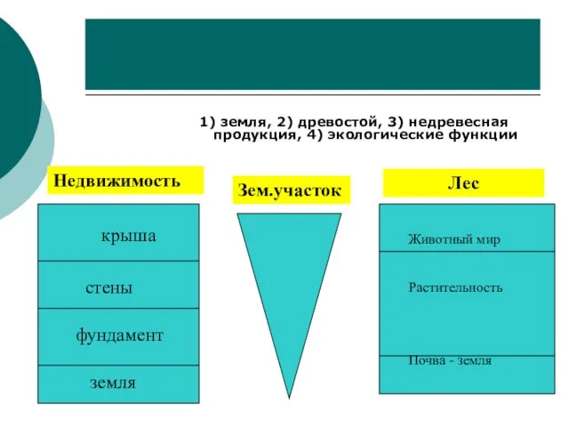 Объекты оценки: 1) земля, 2) древостой, 3) недревесная продукция, 4) экологические функции