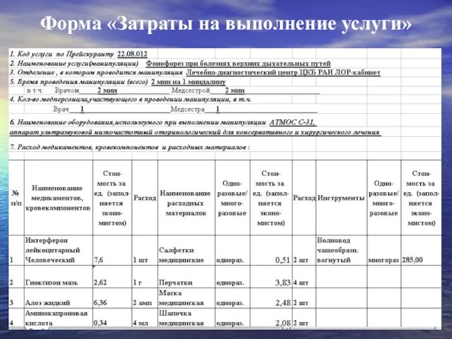 Форма «Затраты на выполнение услуги»