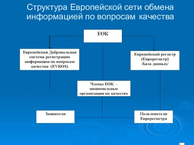 Структура Европейской сети обмена информацией по вопросам качества