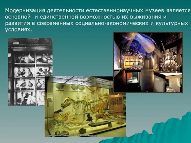 Модернизация деятельности естественнонаучных музеев является основной и единственной возможностью их выживания и