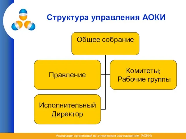 Структура управления АОКИ