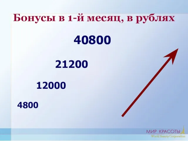 Бонусы в 1-й месяц, в рублях 40800 21200 12000 4800