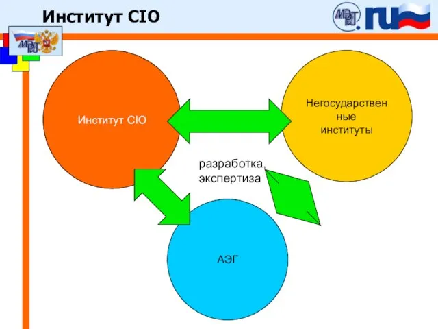 Институт CIO Негосударственные институты АЭГ разработка, экспертиза