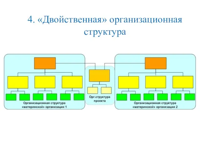 4. «Двойственная» организационная структура