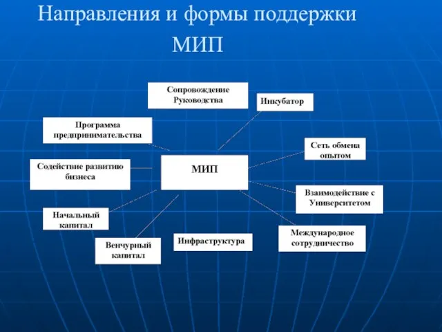 Направления и формы поддержки МИП