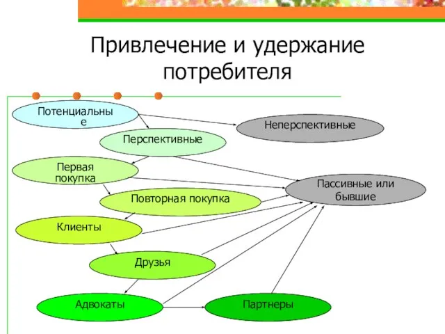 Привлечение и удержание потребителя Пассивные или бывшие Потенциальные Перспективные Первая покупка Повторная