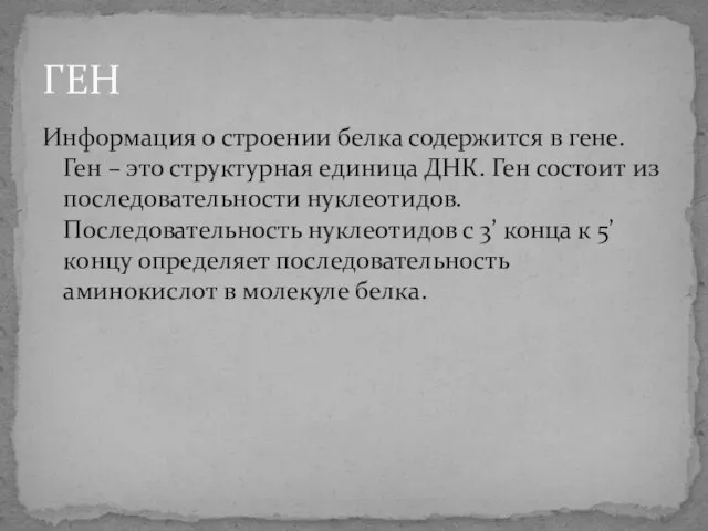 Информация о строении белка содержится в гене. Ген – это структурная единица