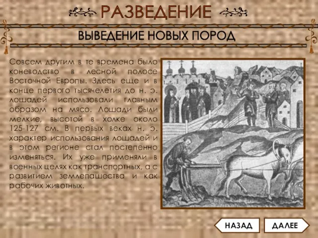 Совсем другим в те времена было коневодство в лесной полосе Восточной Европы.