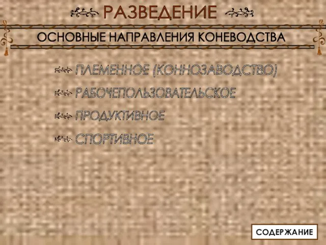 РАЗВЕДЕНИЕ ОСНОВНЫЕ НАПРАВЛЕНИЯ КОНЕВОДСТВА ПЛЕМЕННОЕ (КОННОЗАВОДСТВО) РАБОЧЕПОЛЬЗОВАТЕЛЬСКОЕ ПРОДУКТИВНОЕ СПОРТИВНОЕ СОДЕРЖАНИЕ