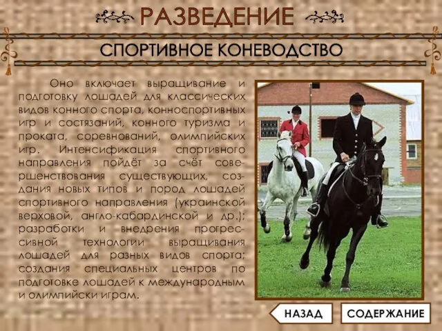 Оно включает выращивание и подготовку лошадей для классических видов конного спорта, конноспортивных