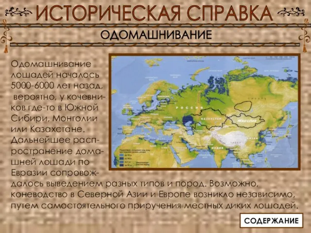 Одомашнивание лошадей началось 5000-6000 лет назад, вероятно, у кочевни- ков где-то в