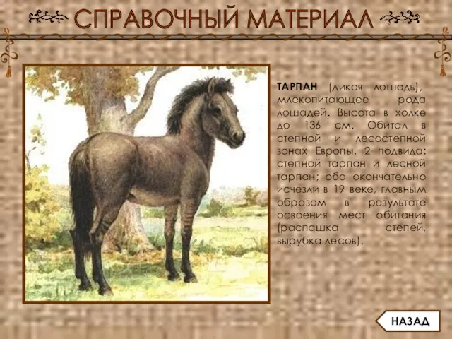 СПРАВОЧНЫЙ МАТЕРИАЛ ТАРПАН (дикая лошадь), млекопитающее рода лошадей. Высота в холке до