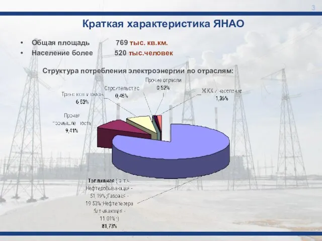 Краткая характеристика ЯНАО Общая площадь 769 тыс. кв.км. Население более 520 тыс.человек