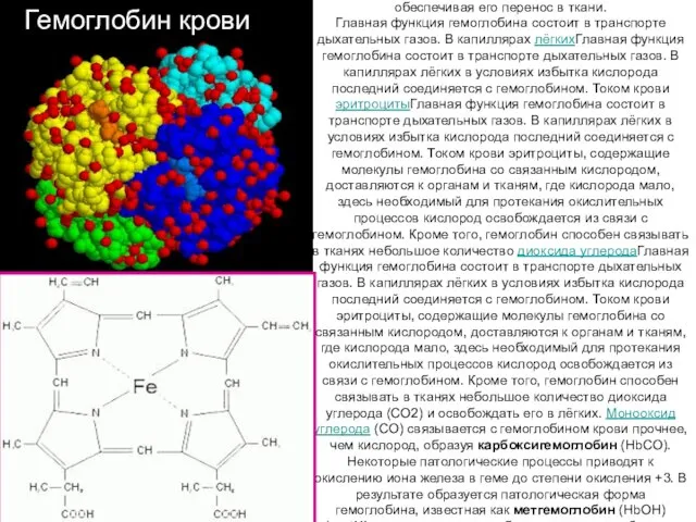 Гемоглобин крови Гемоглоби́н (от др.-греч. (от др.-греч. αἷμα — кровь и лат.