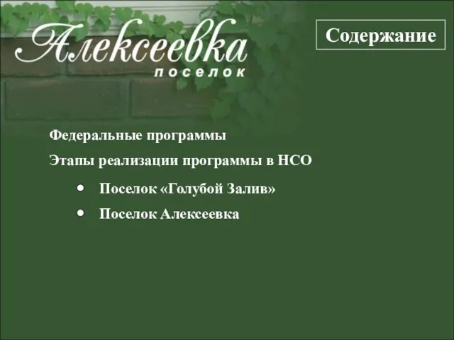 Содержание Этапы реализации программы в НСО Поселок «Голубой Залив» Поселок Алексеевка Федеральные программы