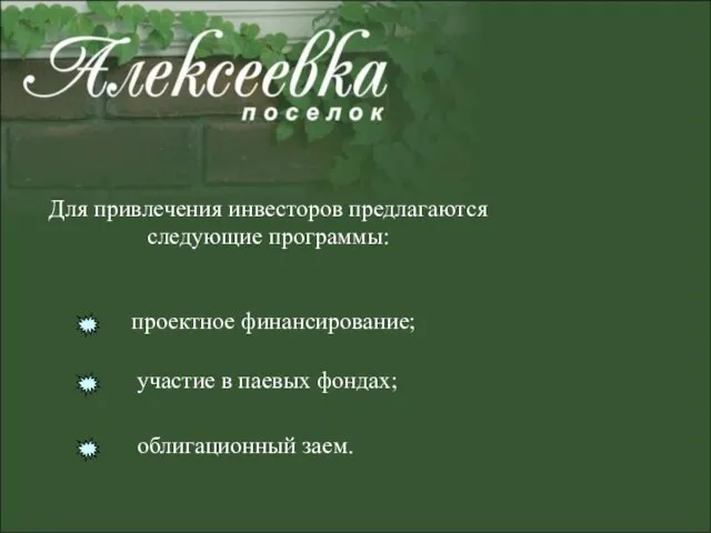 Для привлечения инвесторов предлагаются следующие программы: проектное финансирование; участие в паевых фондах; облигационный заем.