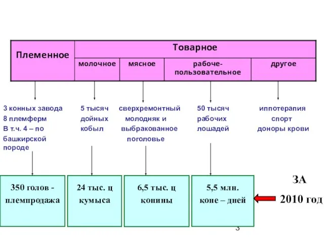 Структура и продуктивность коневодства РБ по состоянию на 01.01.2011 г. 350 голов