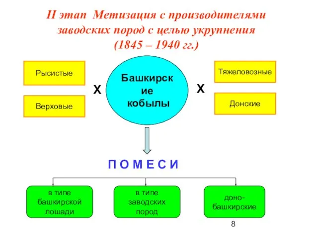 II этап Метизация с производителями заводских пород с целью укрупнения (1845 –