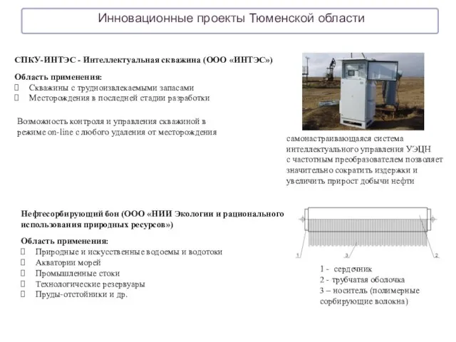 Инновационные проекты Тюменской области Возможность контроля и управления скважиной в режиме on-line