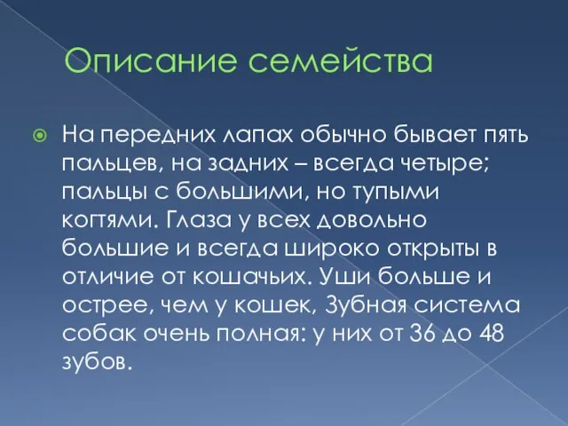 Описание семейства На передних лапах обычно бывает пять пальцев, на задних –