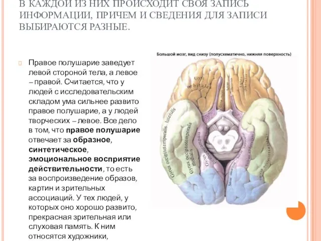 В КАЖДОЙ ИЗ НИХ ПРОИСХОДИТ СВОЯ ЗАПИСЬ ИНФОРМАЦИИ, ПРИЧЕМ И СВЕДЕНИЯ ДЛЯ