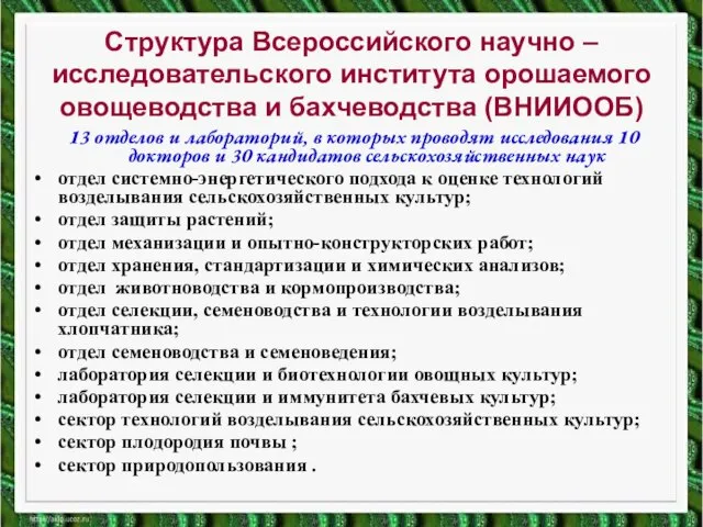 Структура Всероссийского научно – исследовательского института орошаемого овощеводства и бахчеводства (ВНИИООБ) 13