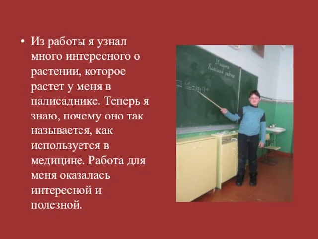 Из работы я узнал много интересного о растении, которое растет у меня