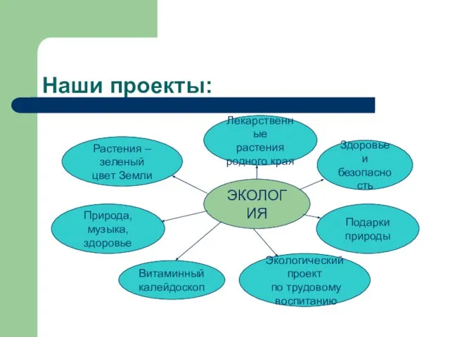 Наши проекты: ЭКОЛОГИЯ Растения – зеленый цвет Земли Лекарственные растения родного края