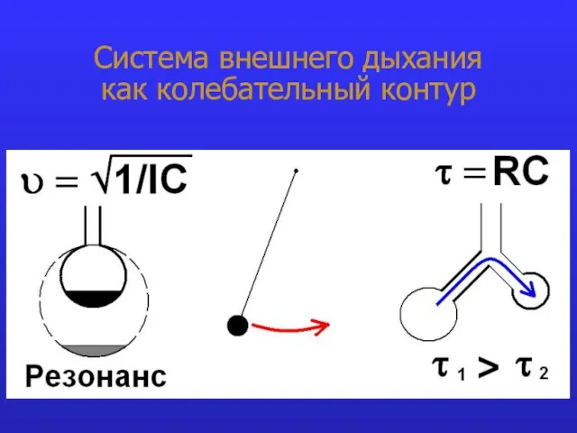 Система внешнего дыхания как колебательный контур