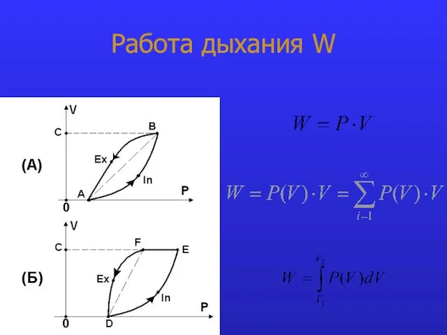 Работа дыхания W