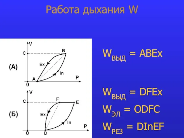 Работа дыхания W WВЫД = ABEx WВЫД = DFEx WЭЛ = ODFC WРЕЗ = DInEF