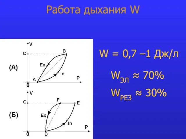 Работа дыхания W W = 0,7 –1 Дж/л WЭЛ ≈ 70% WРЕЗ ≈ 30%