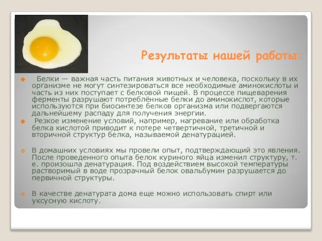 Результаты нашей работы: Белки — важная часть питания животных и человека, поскольку