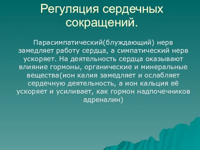 Регуляция сердечных сокращений. Парасимпатический(блуждающий) нерв замедляет работу сердца, а симпатический нерв ускоряет.