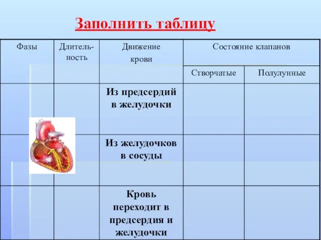 Заполнить таблицу