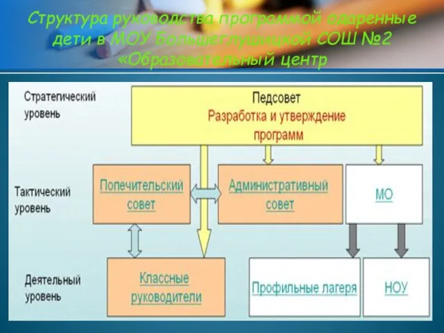 Структура руководства программой одаренные дети в МОУ Большеглушицкой СОШ №2 «Образовательный центр