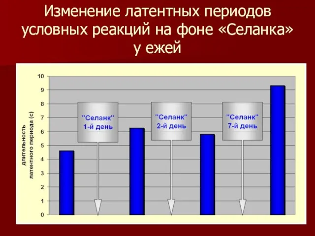 Изменение латентных периодов условных реакций на фоне «Селанка» у ежей