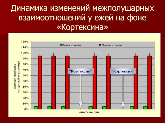 Динамика изменений межполушарных взаимоотношений у ежей на фоне «Кортексина»