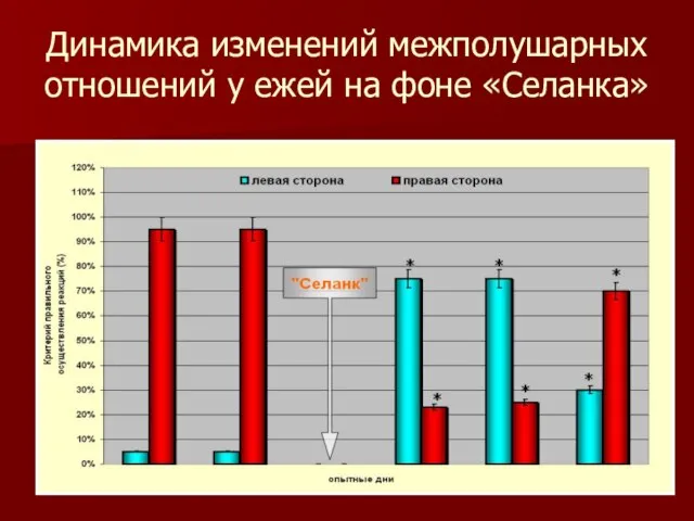 Динамика изменений межполушарных отношений у ежей на фоне «Селанка»