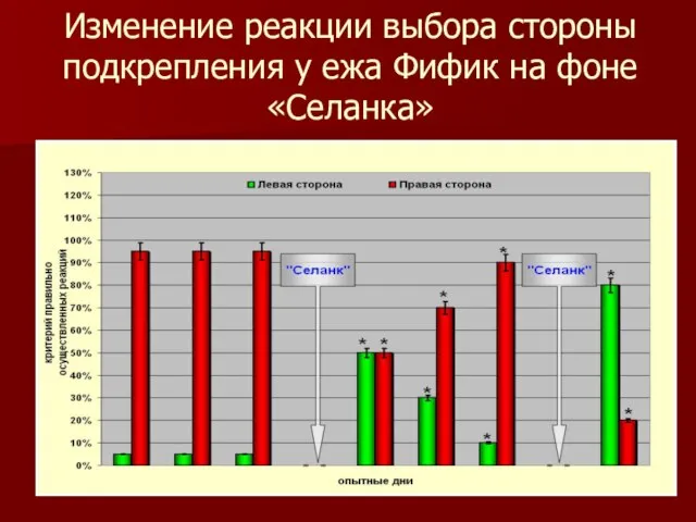 Изменение реакции выбора стороны подкрепления у ежа Фифик на фоне «Селанка»