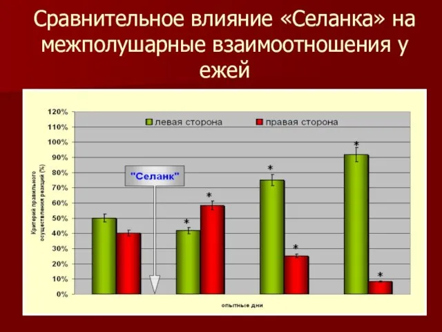 Сравнительное влияние «Селанка» на межполушарные взаимоотношения у ежей