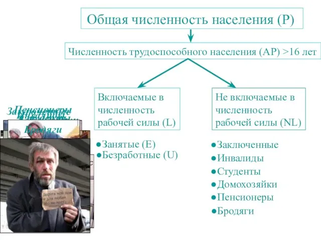 Общая численность населения (P) Численность трудоспособного населения (AP) >16 лет Включаемые в