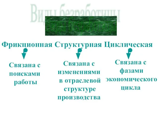 Виды безработицы Фрикционная Структурная Циклическая Связана с поисками работы Связана с изменениями