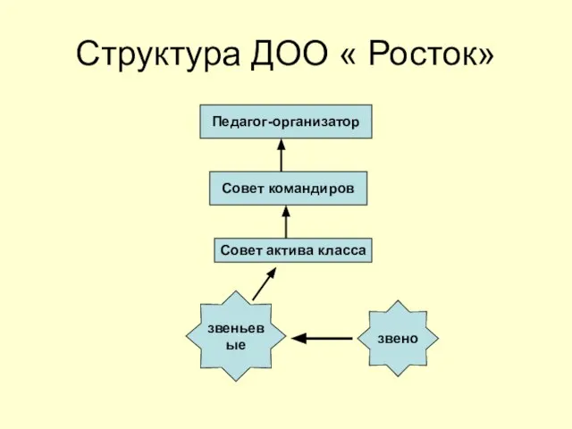 Структура ДОО « Росток» звено звеньевые Совет актива класса Совет командиров Педагог-организатор